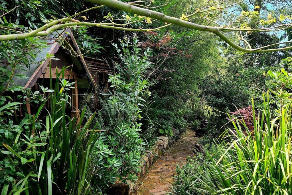 The Black Cockatoo - Secret Garden Treetops Home คาทุมบา ภายนอก รูปภาพ